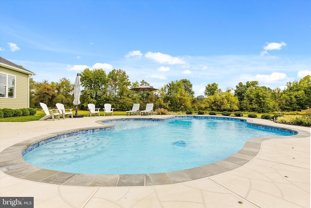 view of swimming pool with a patio area