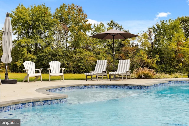 view of swimming pool featuring a patio