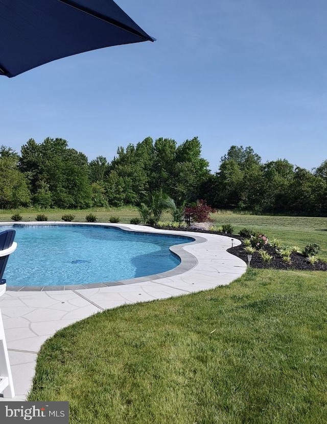 view of pool with a lawn