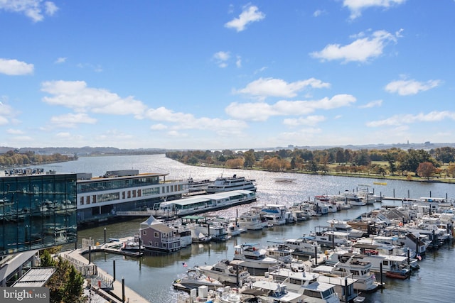 view of water feature featuring a dock