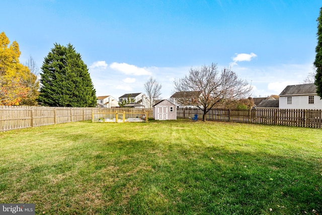 view of yard with a shed