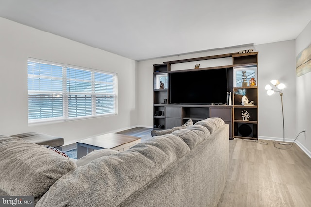 living room with hardwood / wood-style floors