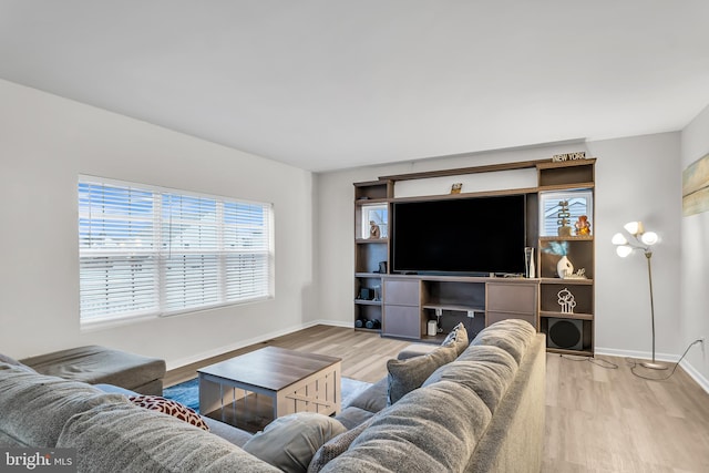 living room with hardwood / wood-style flooring