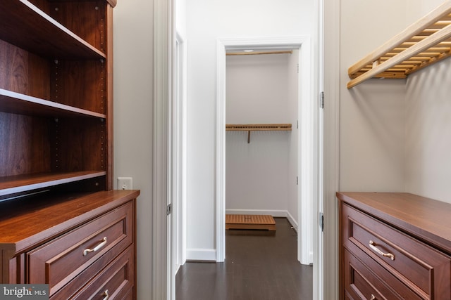 walk in closet with dark hardwood / wood-style flooring