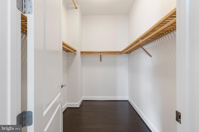 spacious closet with dark hardwood / wood-style floors