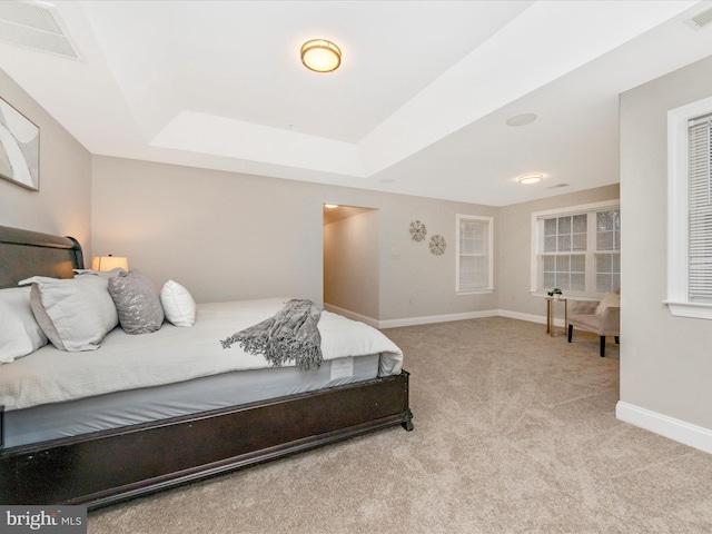 carpeted bedroom featuring a raised ceiling