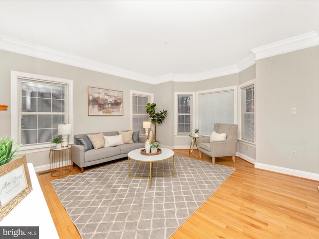 living room featuring hardwood / wood-style floors and ornamental molding