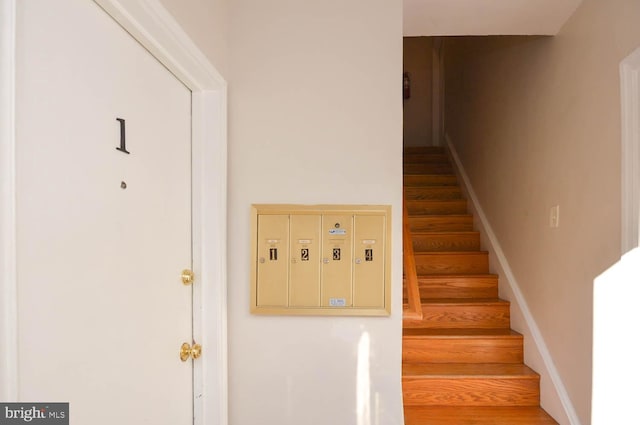 stairway featuring mail boxes and hardwood / wood-style floors