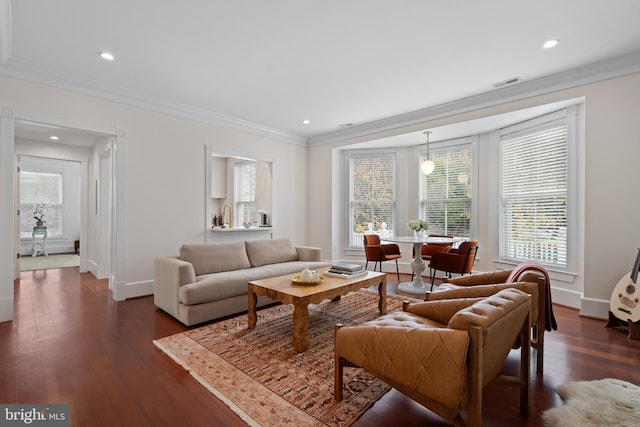 living room featuring dark hardwood / wood-style floors and ornamental molding