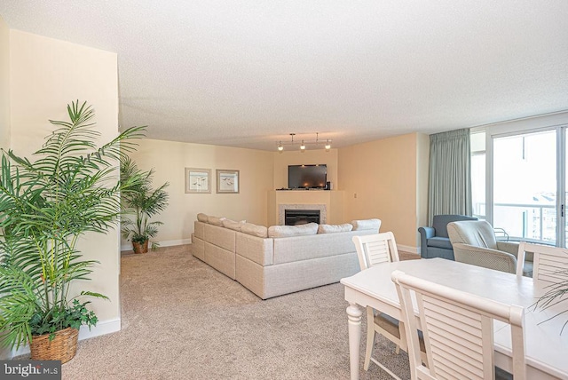 living room featuring light carpet and a textured ceiling