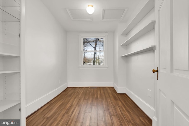 walk in closet featuring dark hardwood / wood-style floors