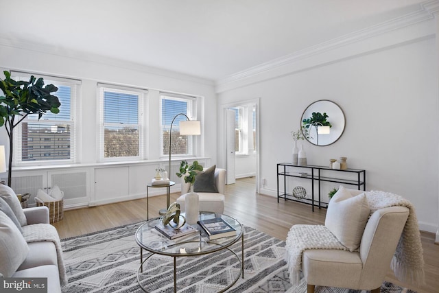 living room featuring ornamental molding, wood finished floors, and baseboards