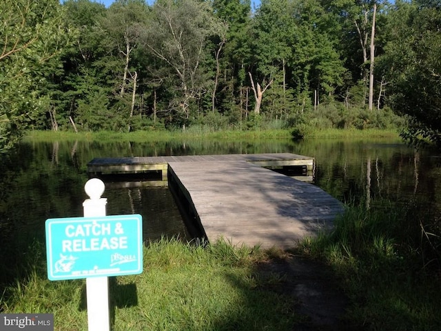 view of dock with a water view