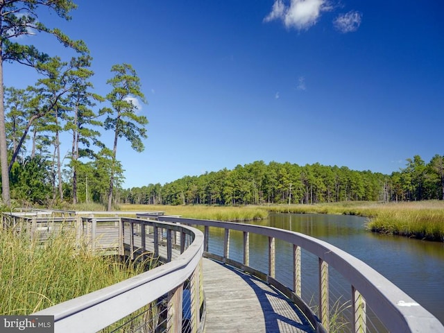 dock area with a water view