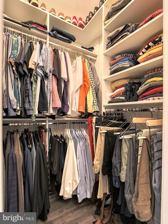 walk in closet featuring hardwood / wood-style flooring