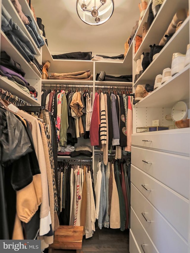 spacious closet featuring dark hardwood / wood-style floors