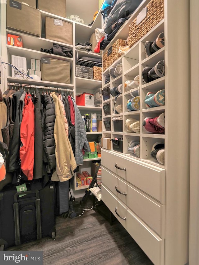 walk in closet featuring dark hardwood / wood-style floors