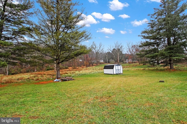 view of yard featuring a storage unit