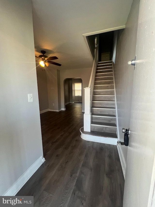 staircase featuring hardwood / wood-style flooring and ceiling fan