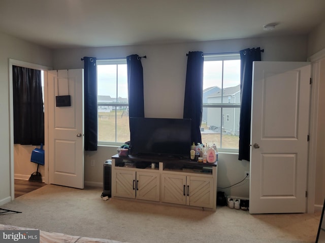 interior space featuring light colored carpet and a healthy amount of sunlight