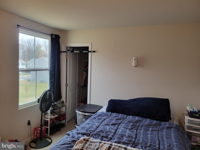 bedroom with carpet floors