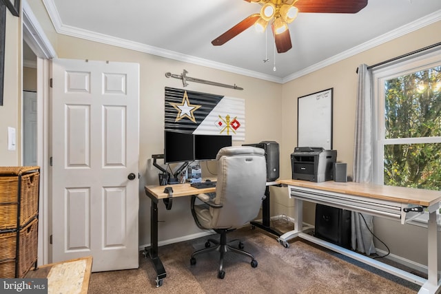 carpeted office space featuring ceiling fan and ornamental molding