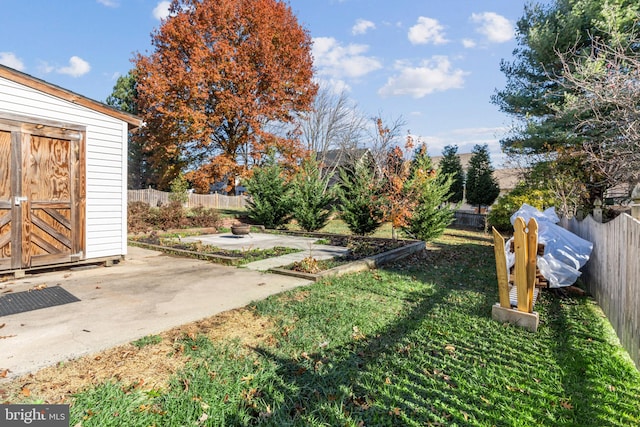 view of yard featuring a patio