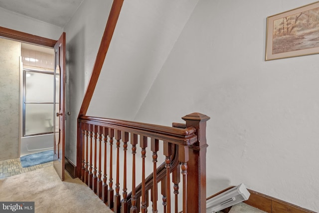 staircase with carpet floors