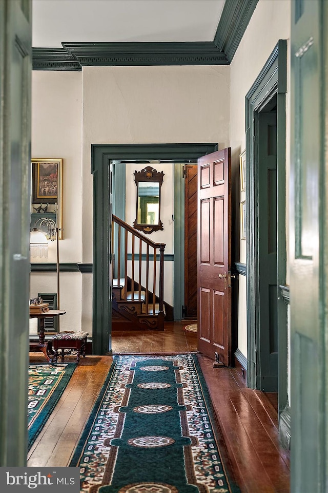 hall featuring dark wood-type flooring