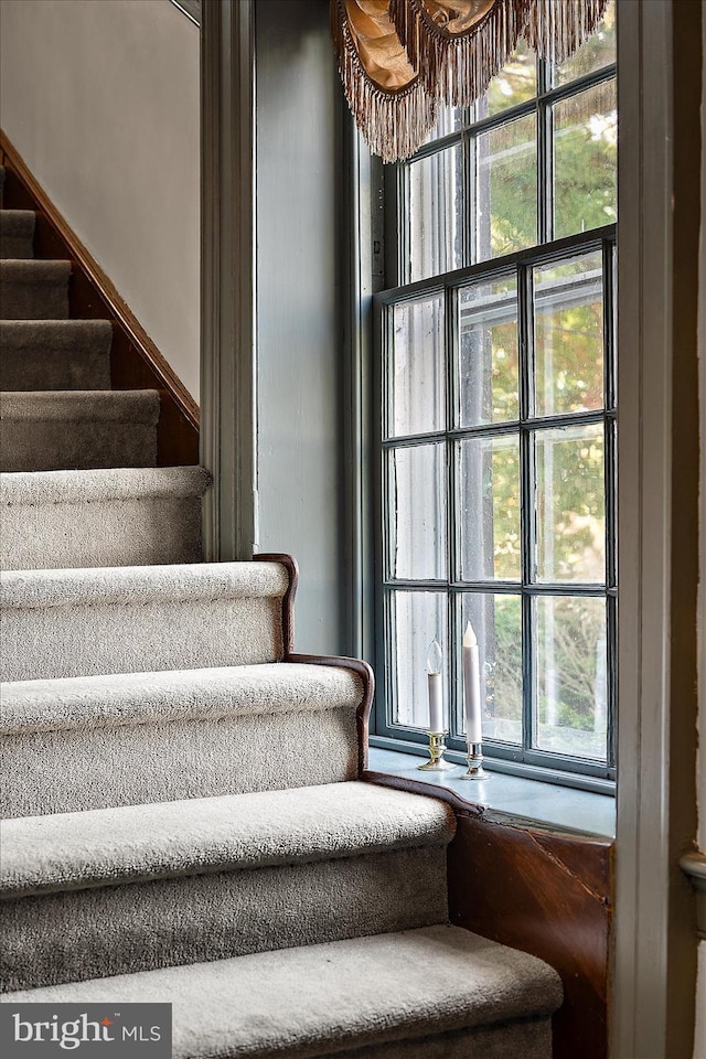 stairway featuring plenty of natural light