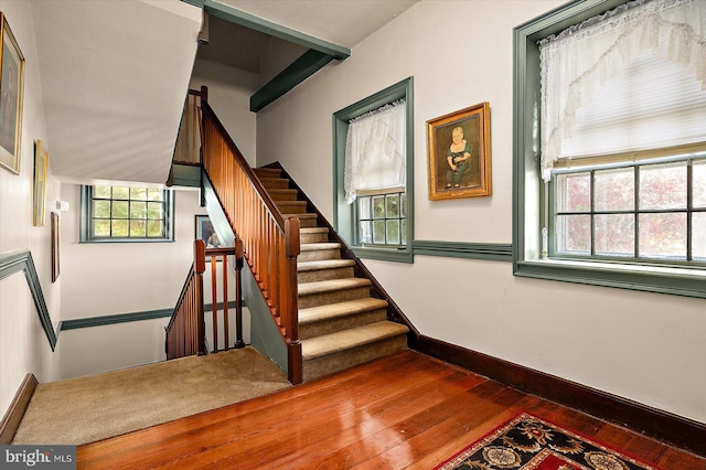 staircase featuring hardwood / wood-style flooring and a wealth of natural light