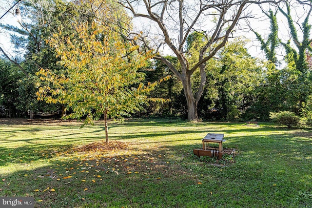 view of yard