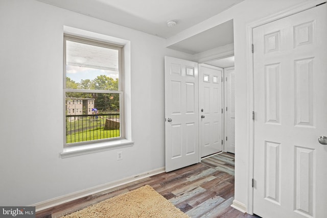 foyer featuring wood-type flooring