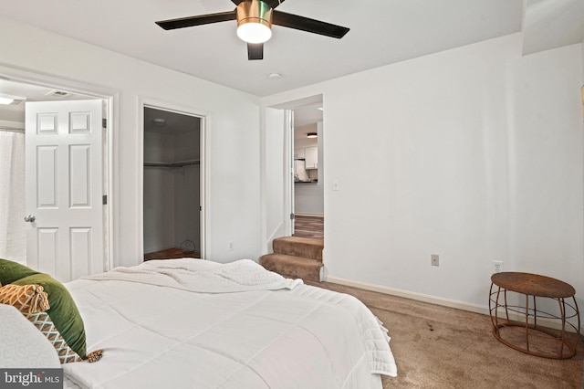 carpeted bedroom with ceiling fan, a walk in closet, and a closet