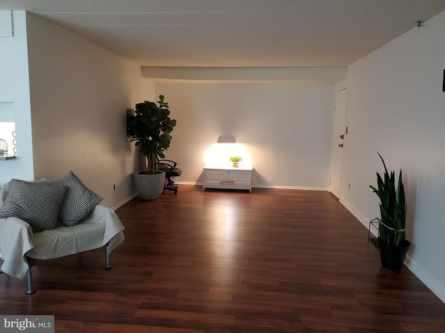 living area with dark wood-type flooring