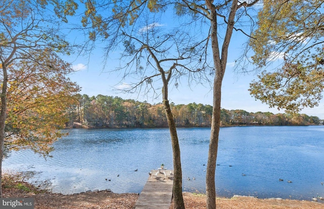 water view featuring a dock and a view of trees