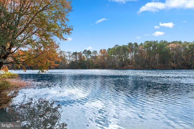property view of water with a view of trees