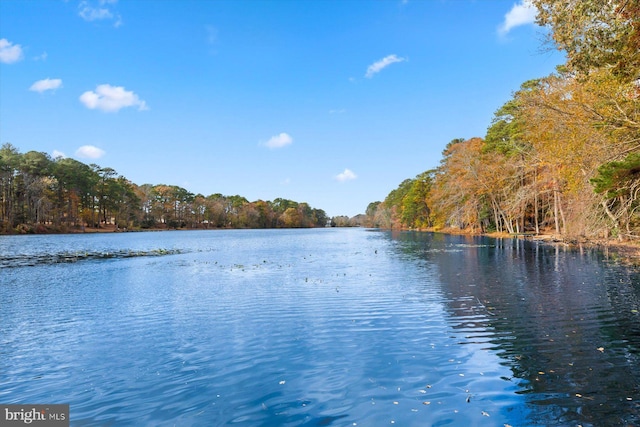 water view featuring a forest view