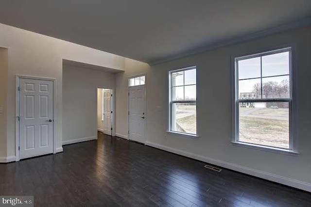 foyer with dark hardwood / wood-style flooring and a healthy amount of sunlight