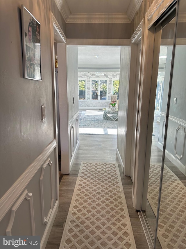 hallway with ornamental molding and dark wood-type flooring