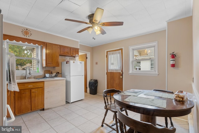 kitchen featuring crown molding, sink, ceiling fan, and white refrigerator