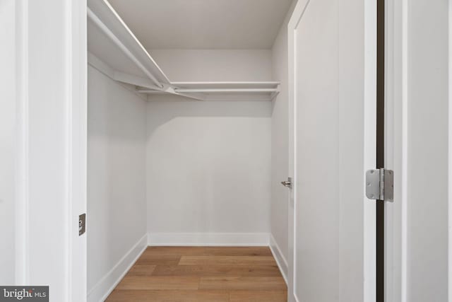 walk in closet featuring light hardwood / wood-style flooring