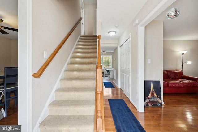 stairway featuring wood-type flooring and ceiling fan