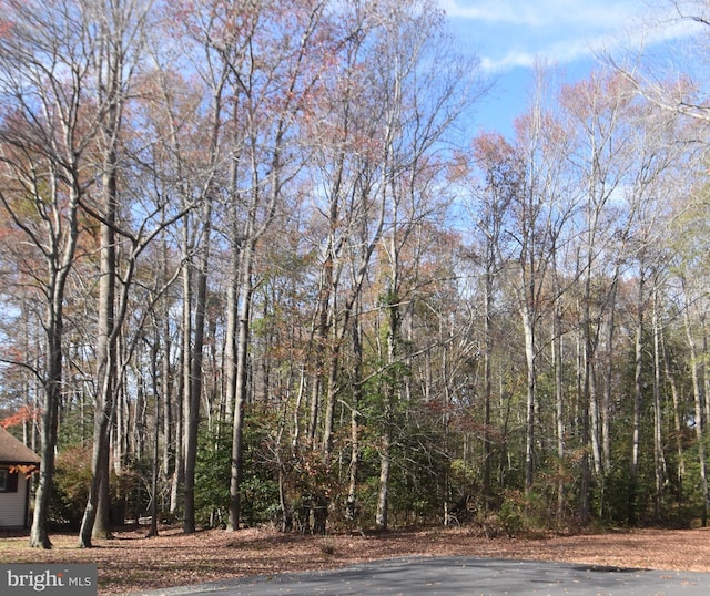 LOT4 Norma Lee Ct, Dagsboro DE, 19970 land for sale