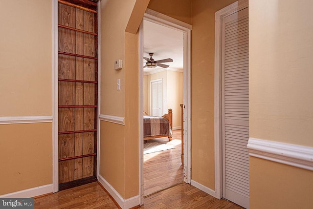 hall featuring hardwood / wood-style floors and ornamental molding