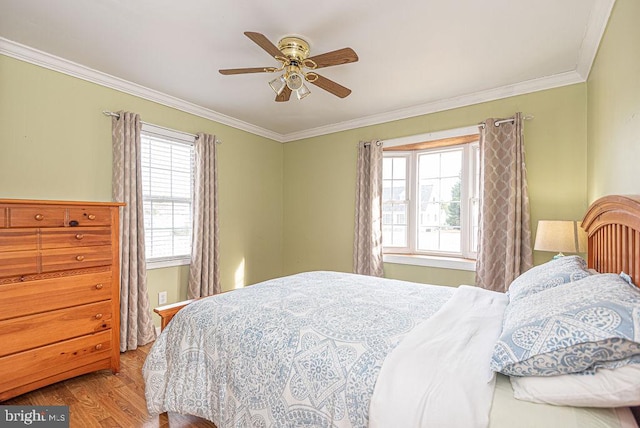 bedroom featuring ceiling fan, wood-type flooring, ornamental molding, and multiple windows