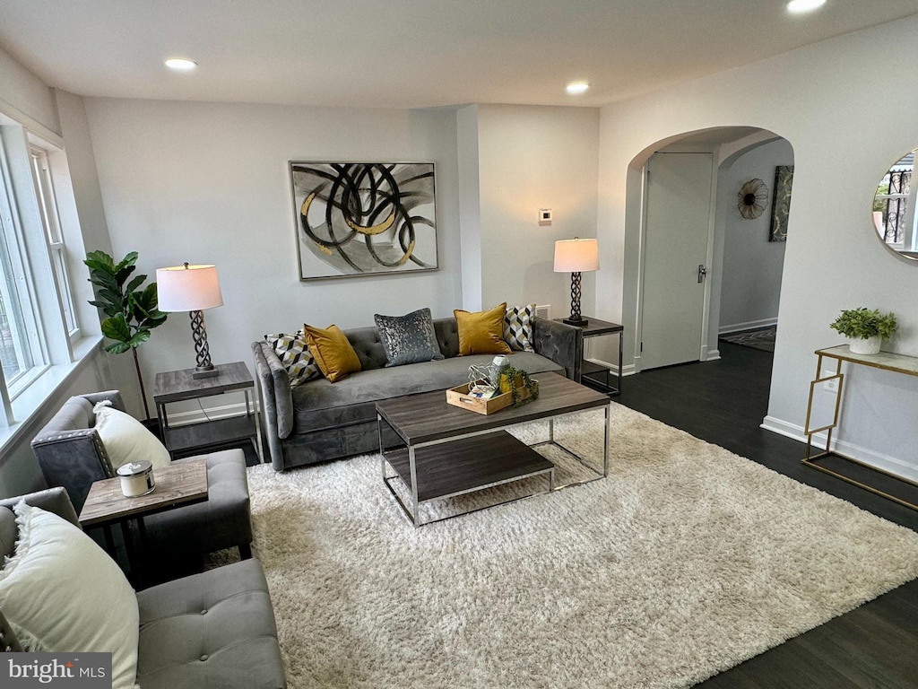 living room featuring dark hardwood / wood-style flooring