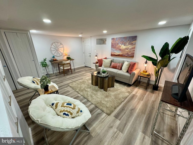 living room featuring light wood-type flooring