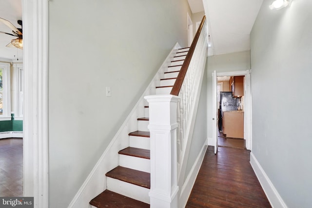 stairway featuring wood-type flooring and ceiling fan