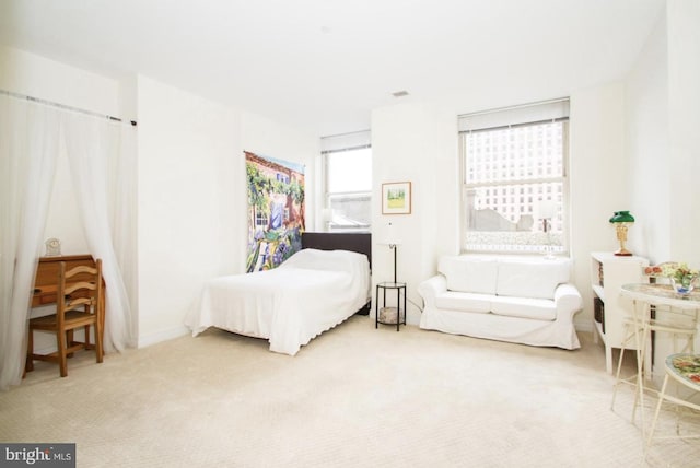 bedroom with carpet flooring